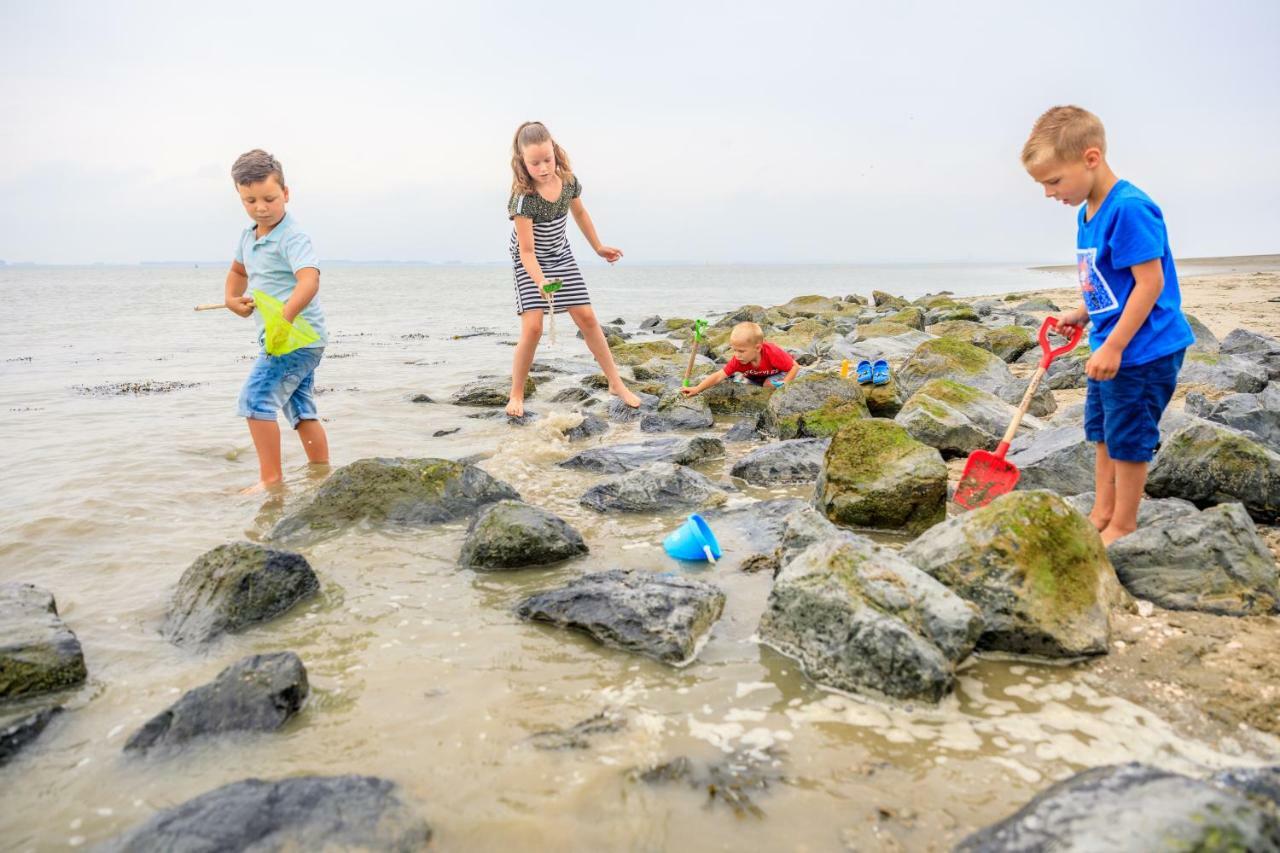 Camping Scheldeoord Baarland Экстерьер фото
