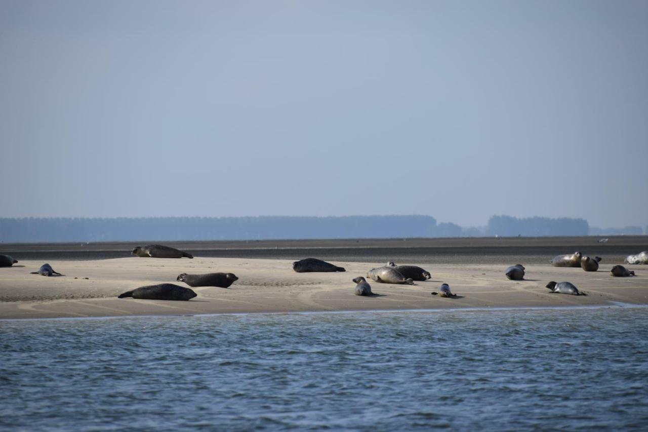 Camping Scheldeoord Baarland Экстерьер фото
